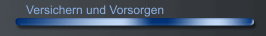 Versichern und Vorsorgen